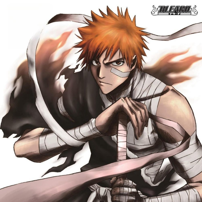 Game Bleach Sagisu Shiro Music - Party Games Gifts reseña y precio