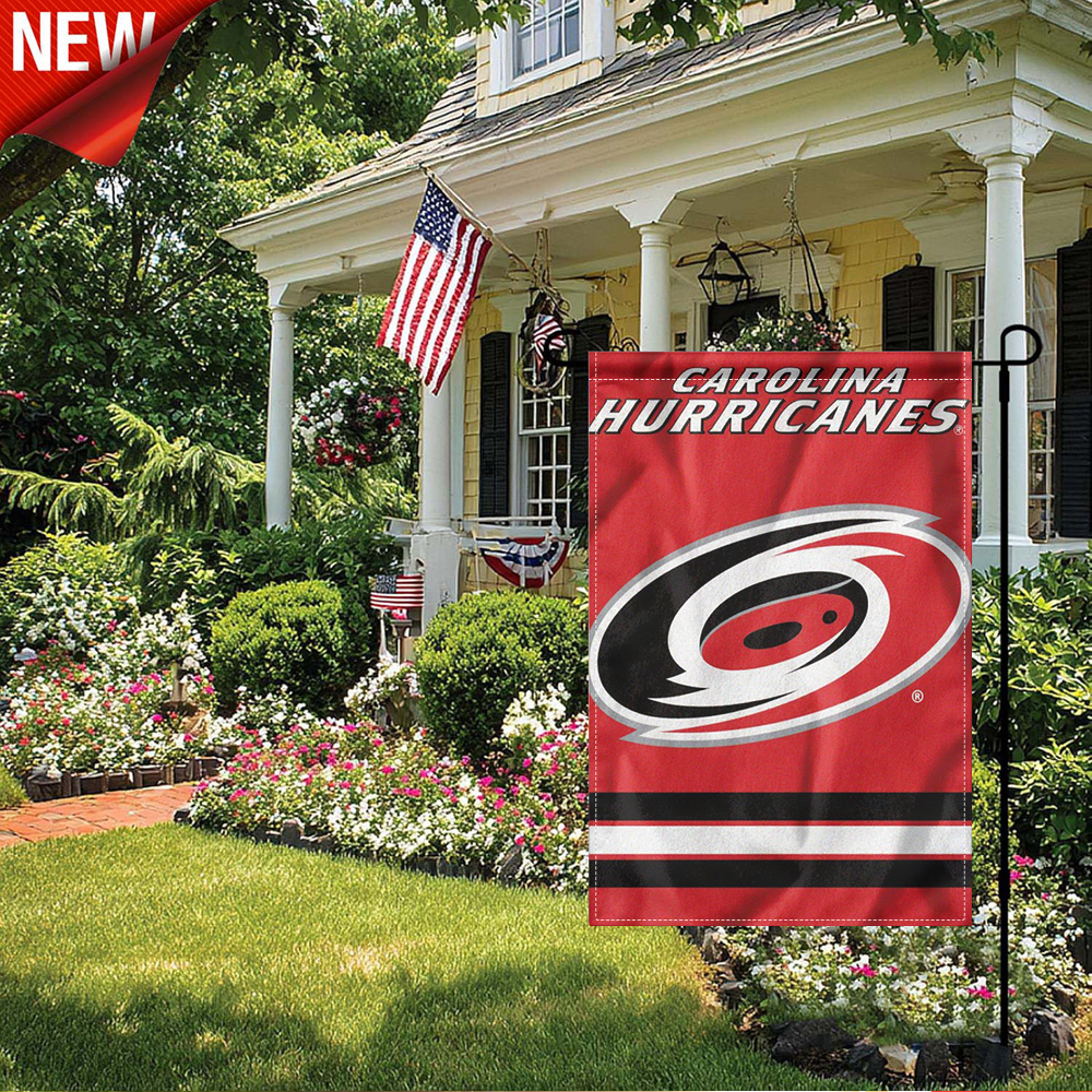 1PC, Carolina Hurricanes Garde - Party Games At Home reseña y precio