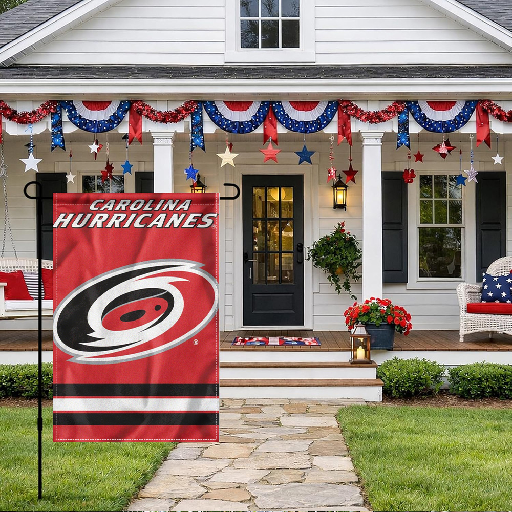 1PC, Carolina Hurricanes Garde - Party Games At Home reseña y precio