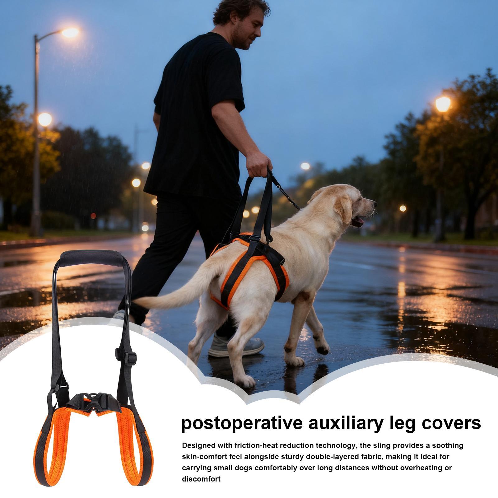 Dog Lift Harness Adjustable St - Ladder Toss Set reseña y precio