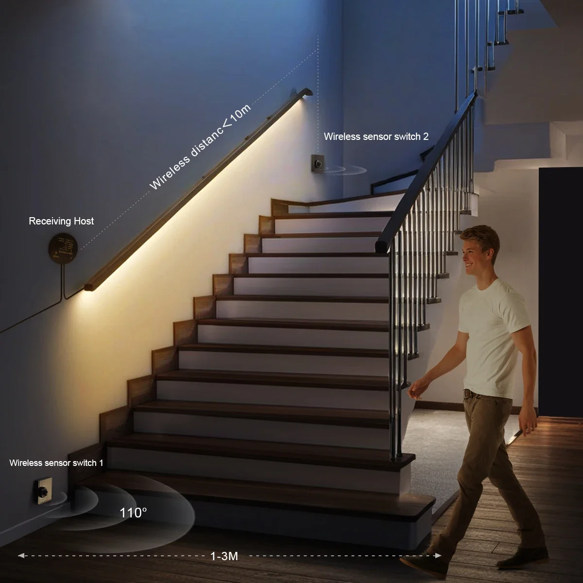 Dual Wireless Moveable PIR Mot - Ladder Toss Set reseña y precio